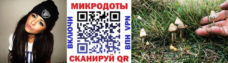 Псилоцибиновые грибы Magic Shrooms  Самара 